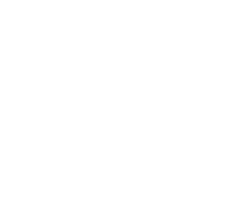 Paradise Logo